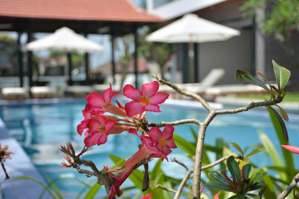 Aquarium Villa Hoi An Bagian luar foto